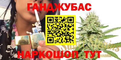 дурь Бердск